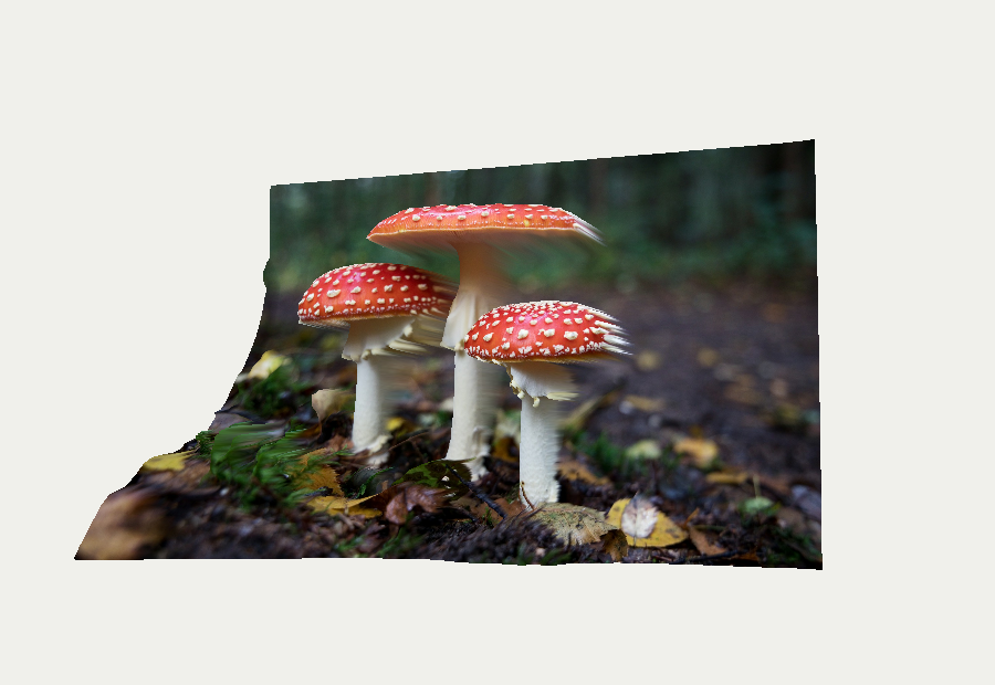 Warped mushroom result