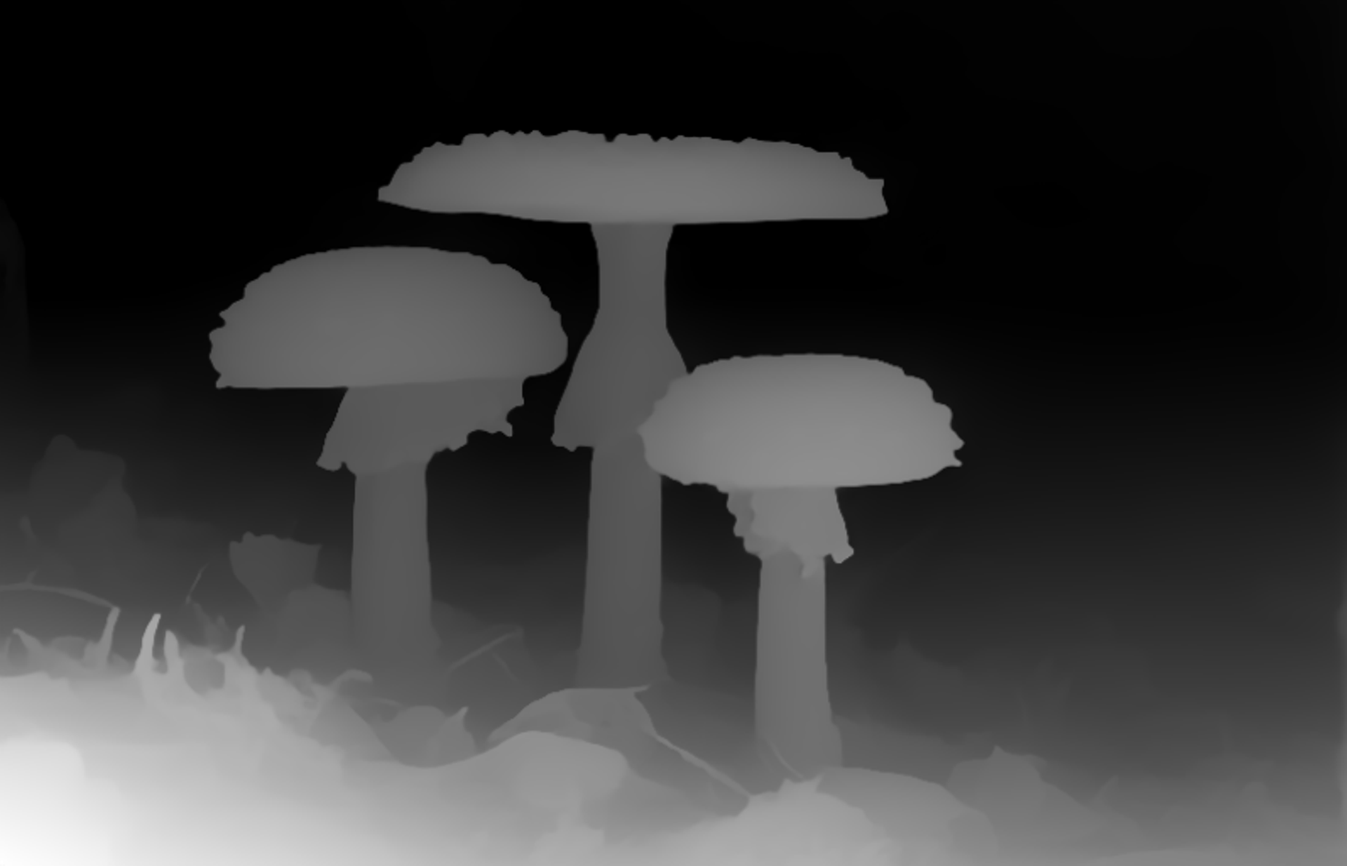 Input depth map
